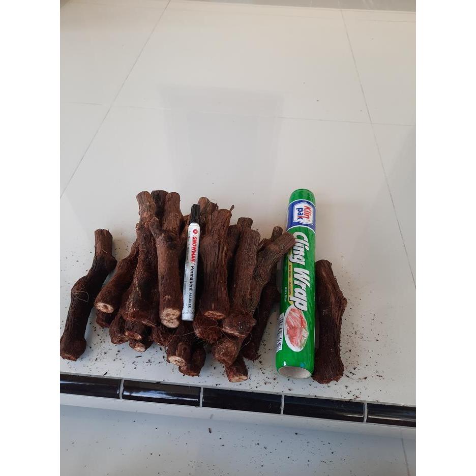 "New" Cutting Anggur SUper Besar KALUS