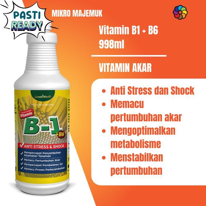 Vitamin B1 + B6 Hormon Akar Tanaman 1L