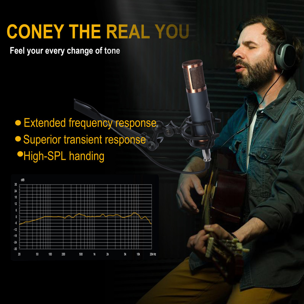 TF39 Condenser Microphone 26mm / 34mm Large Diaphragm XLR Studio Recording Mic for Vocals Podcasting