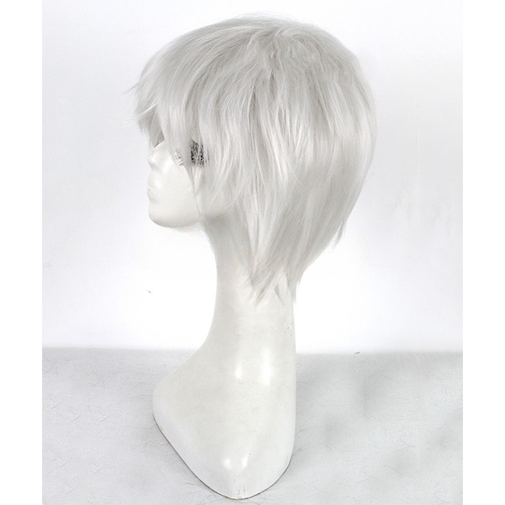 Axis Powers Hetalia Germany Gilbert Beilschmidt Silver Cosplay Synthetic Wig