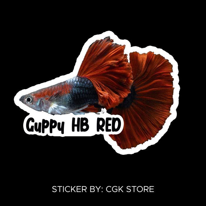 STICKER GUPPY HB RED / HALF BLACK RED