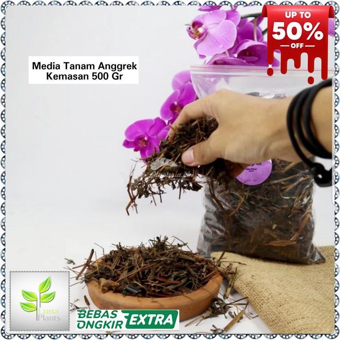 media tanam anggrek - media anggrek