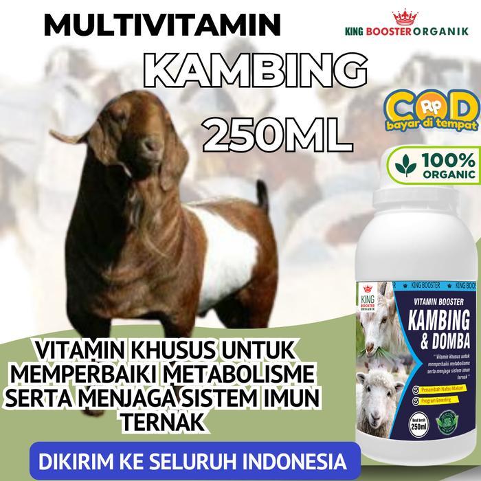 Vitamin ternak Penggemuk Kambing Vitamin Hewan Ternak Aman, VITAMIN KHUSUS TERNAK KAMBING,