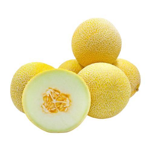 Paket 500 pack Bibit Melon Golden Emerald