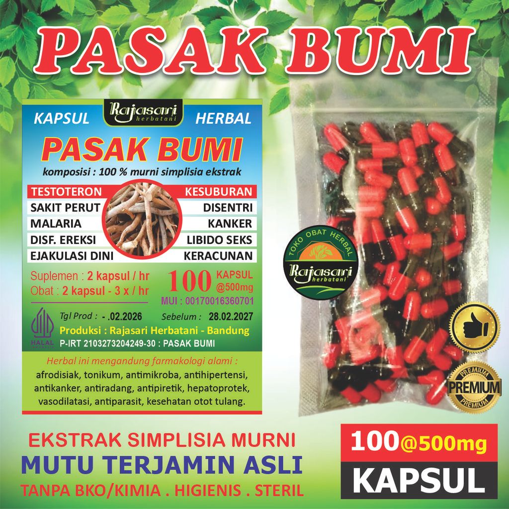 Kapsul Ekstrak Herbal AKAR PASAK BUMI RAJASARI - 100 Kapsul @500mg - Komposisi 100% Simplisia Asli M