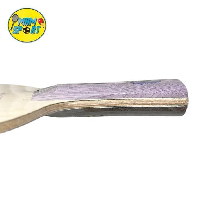 Kayu Bet Pingpong Tenis Meja DHS POWER G PG6X 40+ CARBON Original