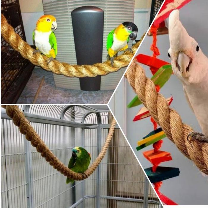Mainan ayunan tali serat natural burung parrot falk sunconure lovebird