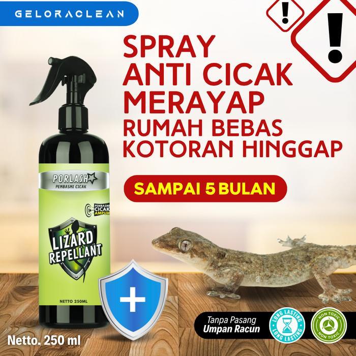 LIZARD REPELLANT RACUN CICAK PEMBASMI CICAK PALING AMPUH 100% ORIGINAL