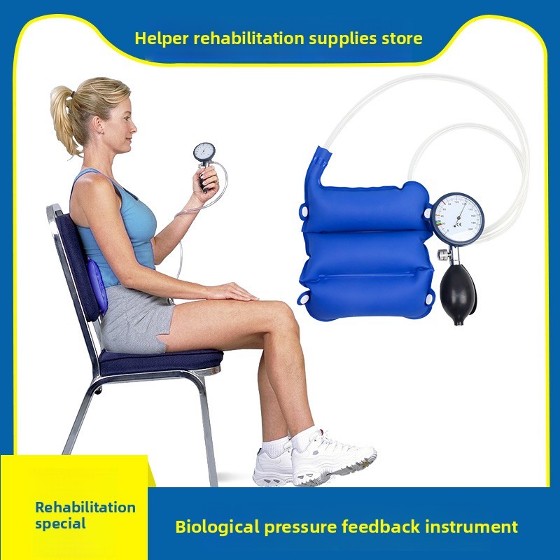 Biological pressure feedback device, core evaluation training device,muscle activation cervical and