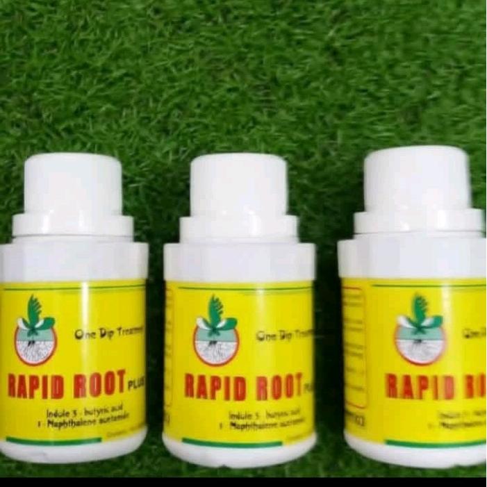 JTTOP" RAPID ROOT 100 GRAM