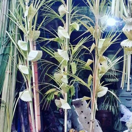 JANUR KUNING KHITANAN DAN PERNIKAHAN JANUR KECIL PENANDA HAJATAN ISI 1