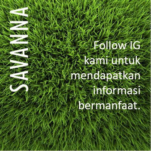 PUPUK RUMPUT ORGANIK ALAMI, RUMPUT GAJAH, RUMPUT GAJAH MINI, PENYUBUR TANAH SAVANNA 100 ML