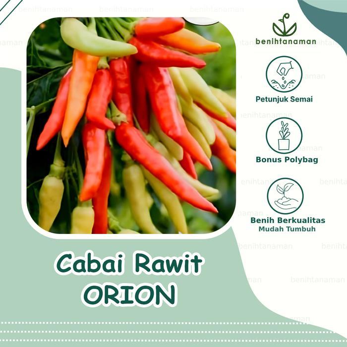 10 Biji - Benih Cabai Rawit ORION, Cabai Rawit Tipe Dompolan/Klaster