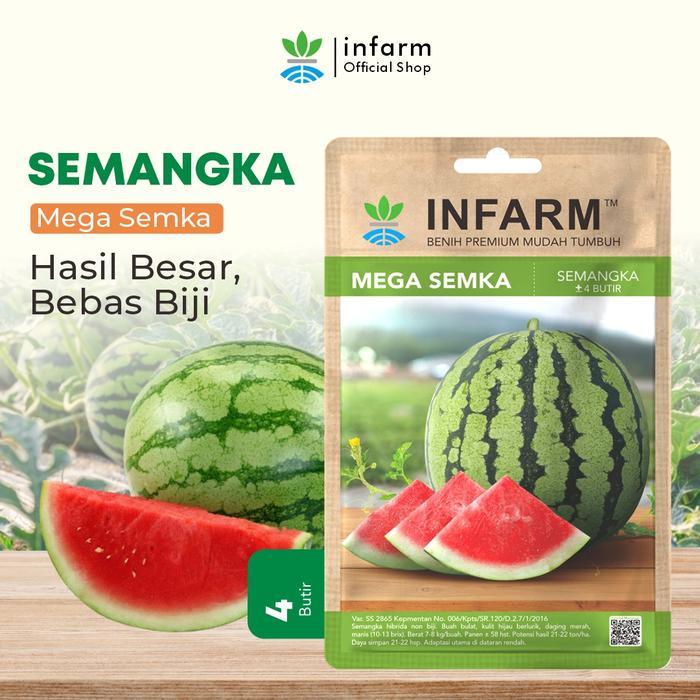INFARM - Benih Buah Semangka Merah Tanpa Biji, Benih Unggul Buah Semangka Tanpa Biji Bibit Super