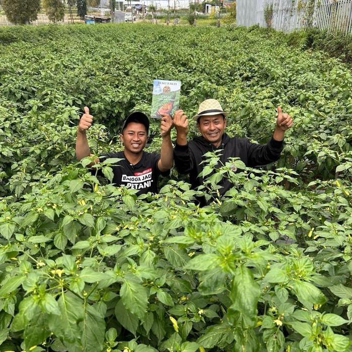 Buku Sakti Seniman Pertanian - Panduan Lengkap Budidaya Cabe Segala Varietas - Belum Ada Selengkap
