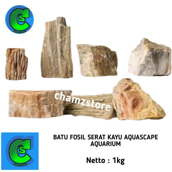 Batu fosil serat kayu aquascape aquarium / batu fosil kayu dekorasi aquascape aquarium