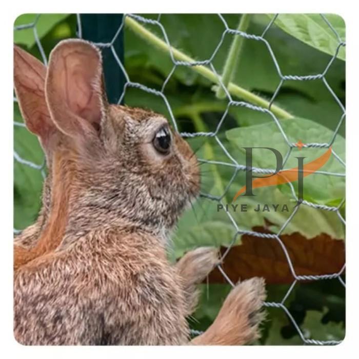 Best Seller Jaring Pagar Kawat Ram Galvanis Hexagonal Kurungan Untuk Kandang Ayam Kelinci Tanaman