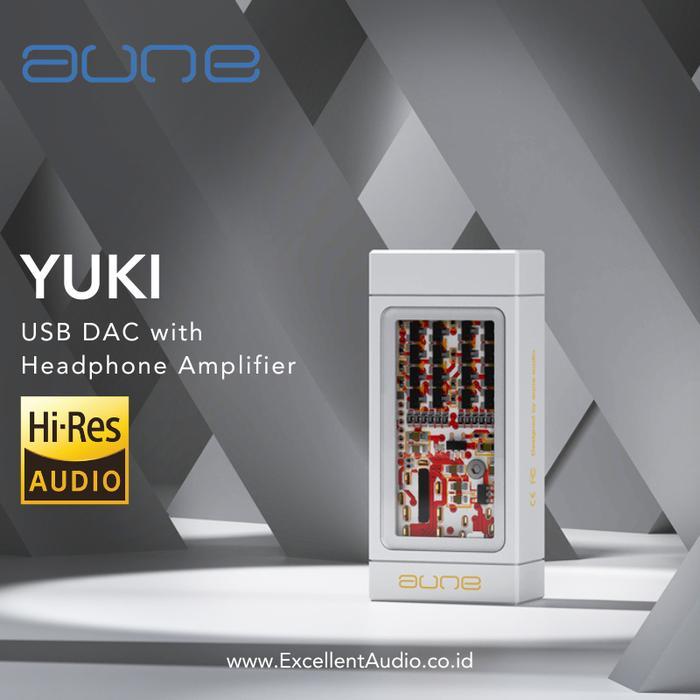 USB DAC AUNE YUKI Dual CS43198 with Headphone Amplifier