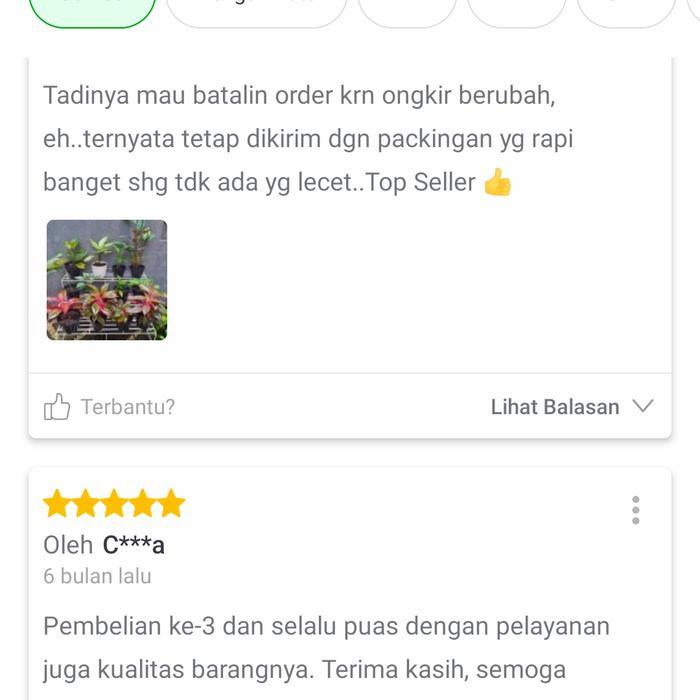 rak pot besi 3 susun tanaman