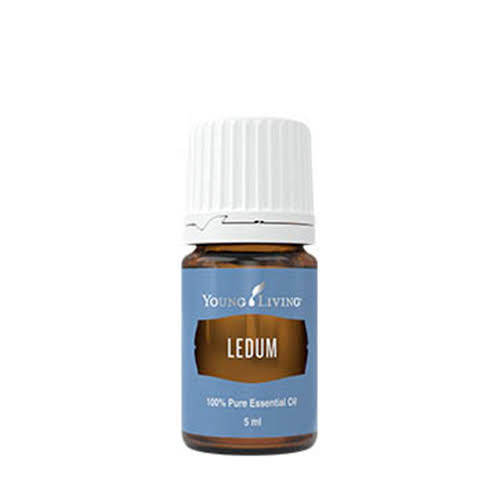 Ledum 5ml