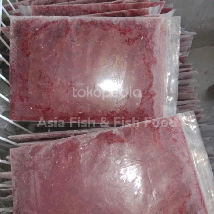 cacing beku cacing BW cacing darah