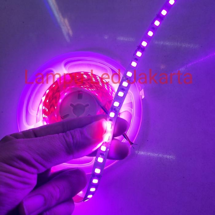 LAMPU LED STRIP 120 MATA UNGU DC 12V 5METER. LED STRIP PURPLE UNGU 5M