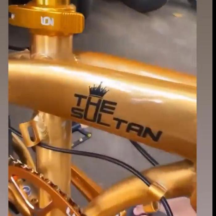 Cutting Sticker Frame Sepeda The Sultan Element Ecosmo Gold Edition