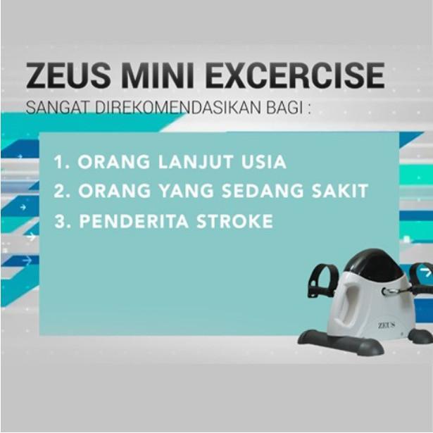 Zeus Mini Bike Static Sepeda Ter Statis Sport Exercise