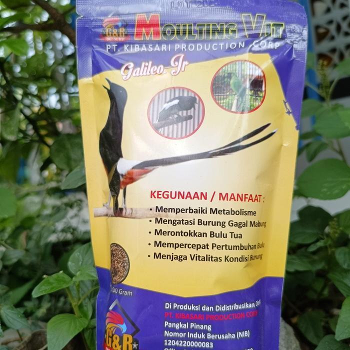Pakan Burung Voer G&R Moulting Vit Voer Gnr Moulting Vit Voer Mabung Burung Kicau Murai Cendet