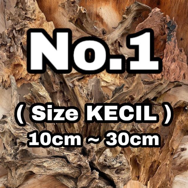 Bahan Kayu Rentek Kecil, Panjang 10-30Cm Bahan Hiasan Aquarium / Aquascape / Paludarium / Aviary /