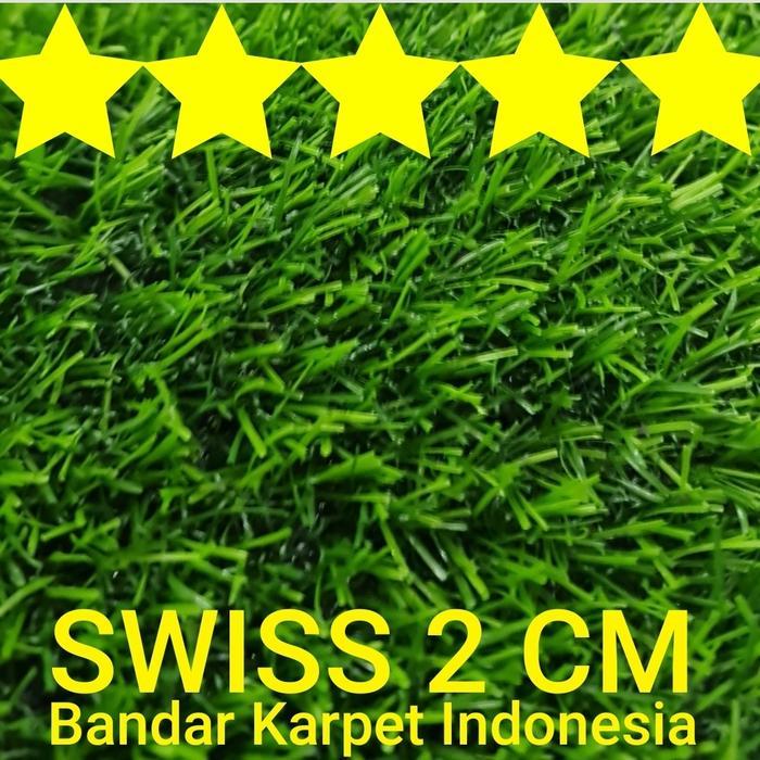 karpet rumput swiss 2 cm rumput sintetis meter rumput sintetic meter