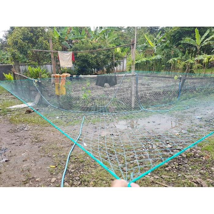 ASLI jaring anco nilon 2 inchi 3m x 3m benang D3 READY STOCK