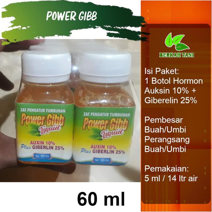 Zico Stored Giberelin Plus Auksin Pembesar Umbi Pembesar Buah