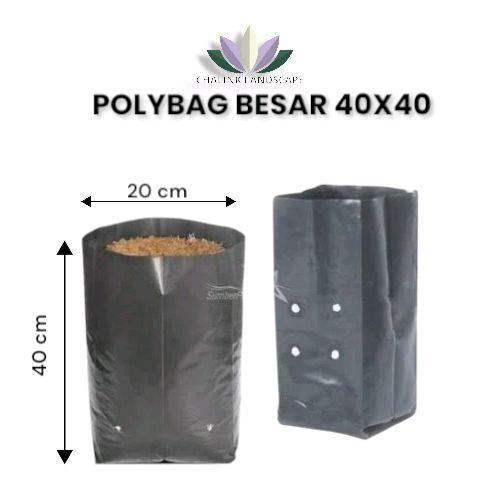 READY STOK POLYBAG 1/5 KG BERBAGAI UKURAN PALING BESAR SAMPAI PALING KECIL - POLYBAG BESAR - POLYBAG