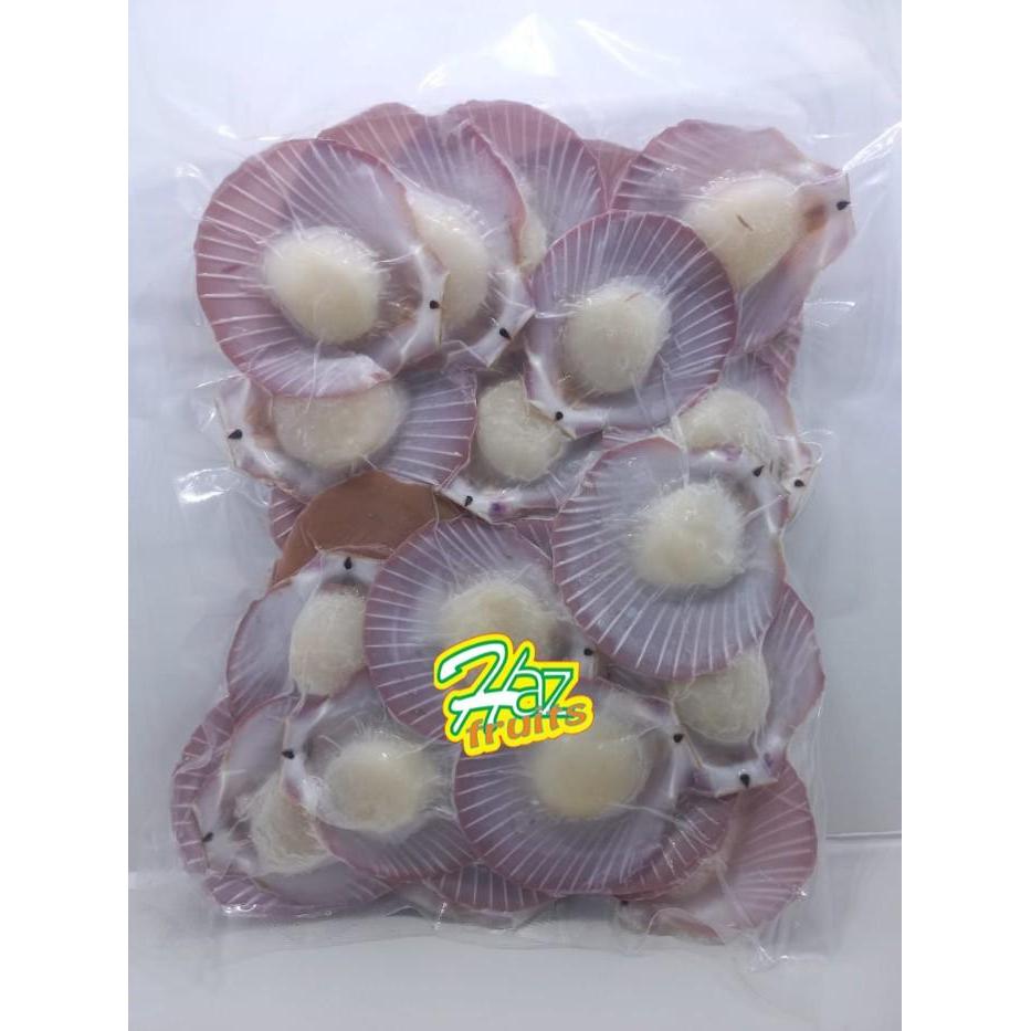 Kerang Srimping Bersih Ukuran 30-40 500 gr I HALF SHELL SCALLOP
