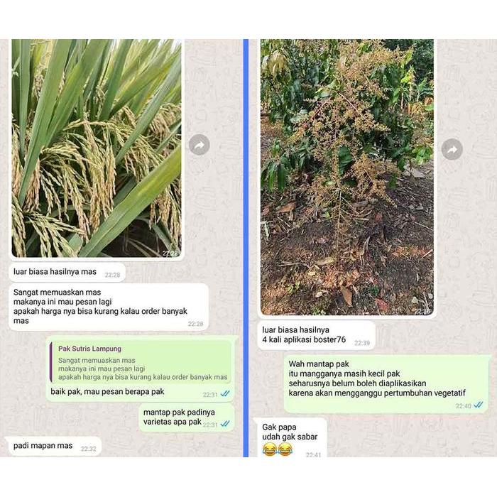 Booster 76 Hormon Pembungaan Dan Pembuahan - Hormon Dan Pupuk Buah Dan Tanaman Bunga Pohon Original