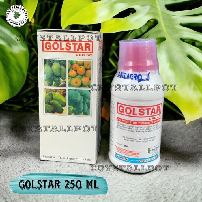 GOLSTAR 250 SC PUPUK ZPT VITAMIN BUAH 250 ML - GOLSTAR 250 ML BESAR