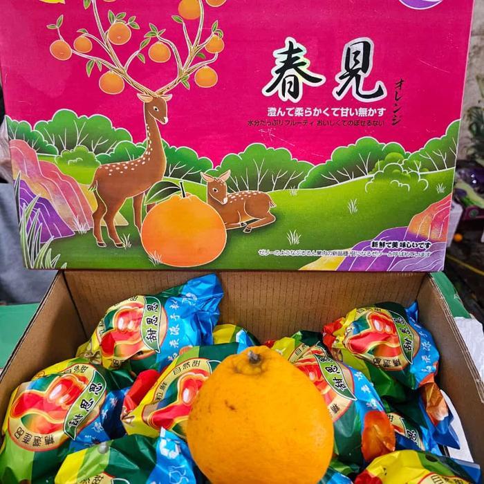 Jeruk Dekopon Gift imlek per box