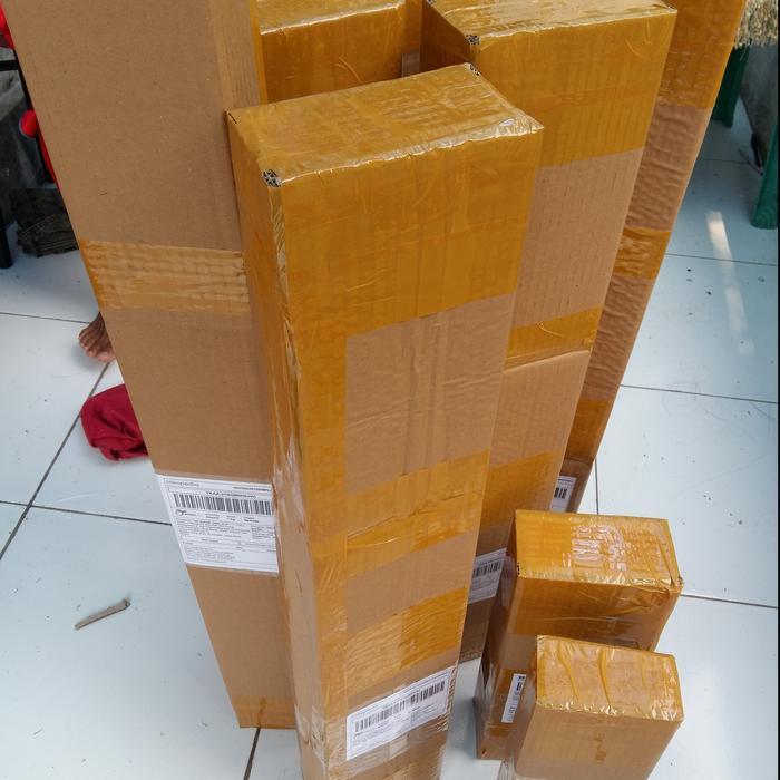 TANAMAN BUAH LECI MERAH CANGKOK