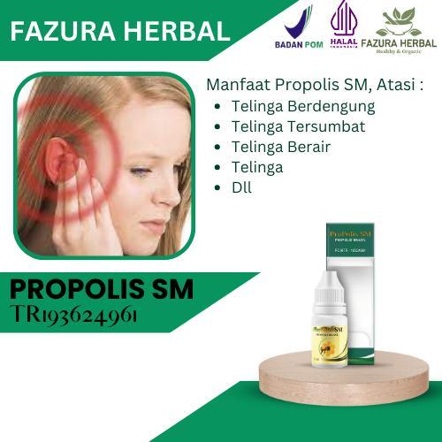 SALE Propolis SM - Obat Telinga Berdengung, Obat Telinga Tersumbat TERMURAH