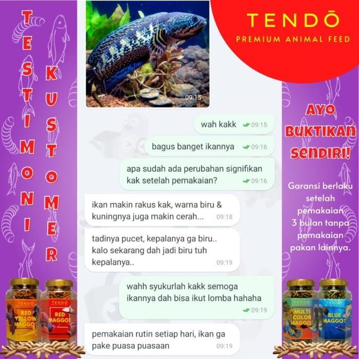 (COD) Maggot BSF Maggot Kering Pakan Makanan Ikan Koi Predator Tendo