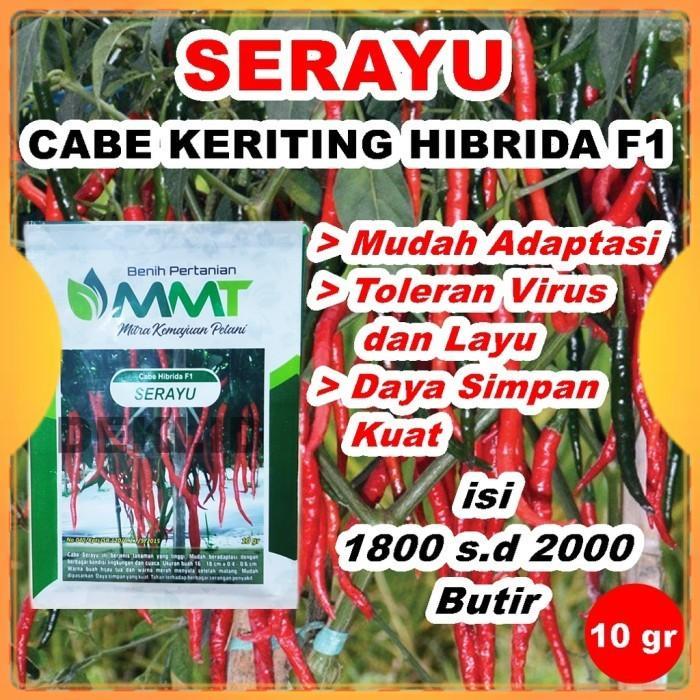 Benih Cabe Merah Keriting Serayu F1 10 Gr Bibit Cabai Kriting Mmt