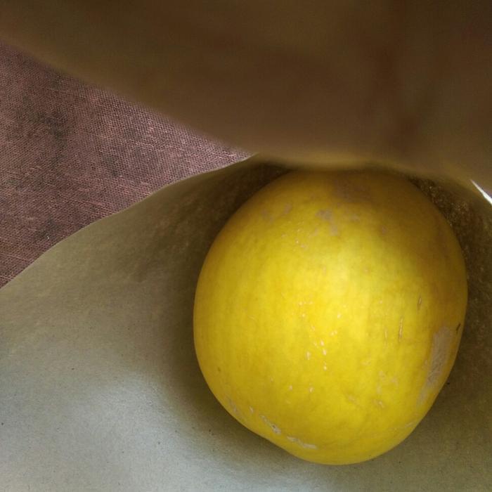 Nutrisi Ab Mix Spesial Premium 2,5 L ( Tanaman Buah, Melon ) Terlaris