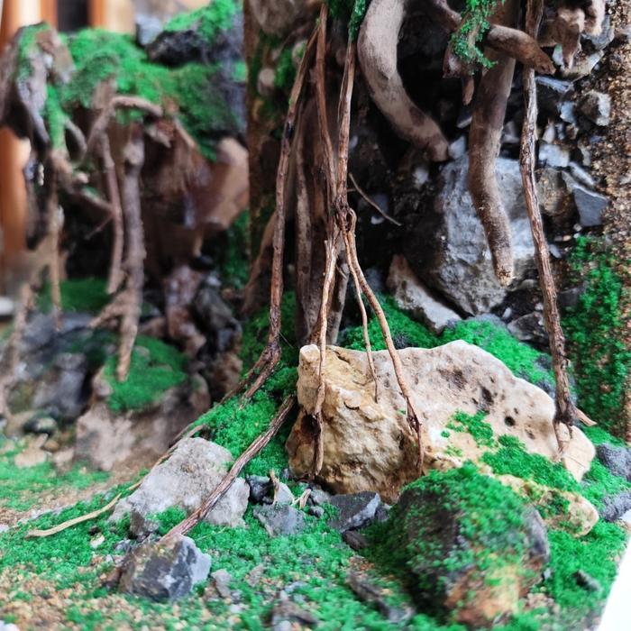 Lumut Moss Sintetis Artificial Aquascape Aquarium Terarium Paludarium Tahan Lama Anti Luntur