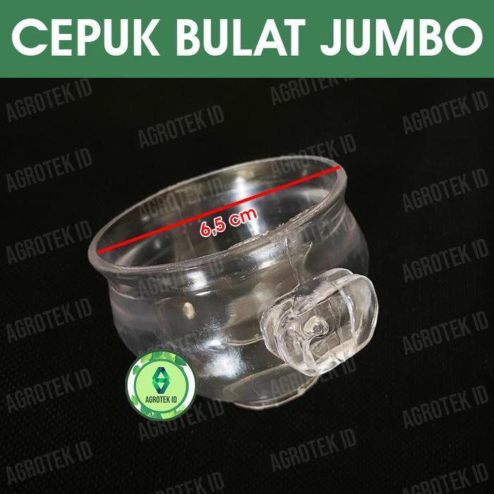 Sale Terlaris Cepuk Pakan Burung Bulat Jumbo Elite Song