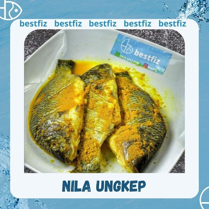 Ikan Nila Bumbu Kuning / Nila Ungkep / Nila Siap Goreng