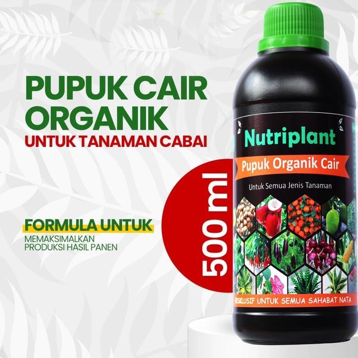 Stok Baru Pupuk Organik Cair Cabai Nutrisi Tanaman Cabai Pupuk Organik Cair Cabai Rawit