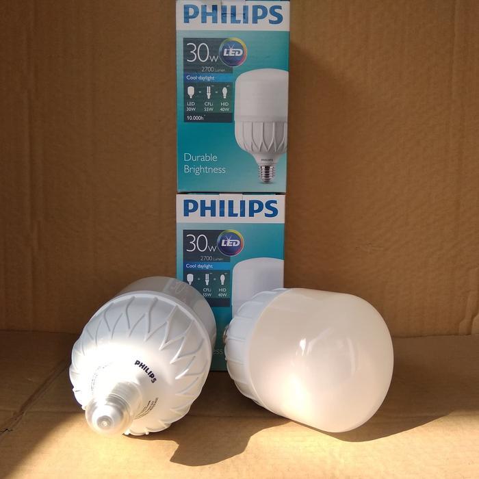 LAMPU LED PHILIPS 30 WATT