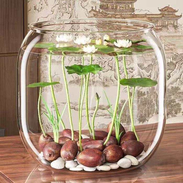 Vixplorn Aquarium Bulat Mini Bulat Aesthetic Aquarium Tank Cupang Mini Vas Aquarium Bulat Ikan Hias