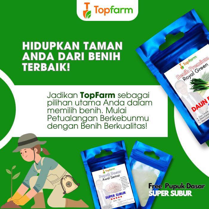 Najwa Gadget Benih Daun Bawang Premium - Bibit Daun Bawang / Benih Tanaman Daun Bawang / Biji Daun